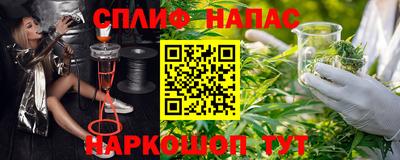 a pvp Можга