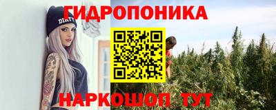 a pvp Можга