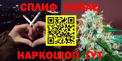 a pvp Можга