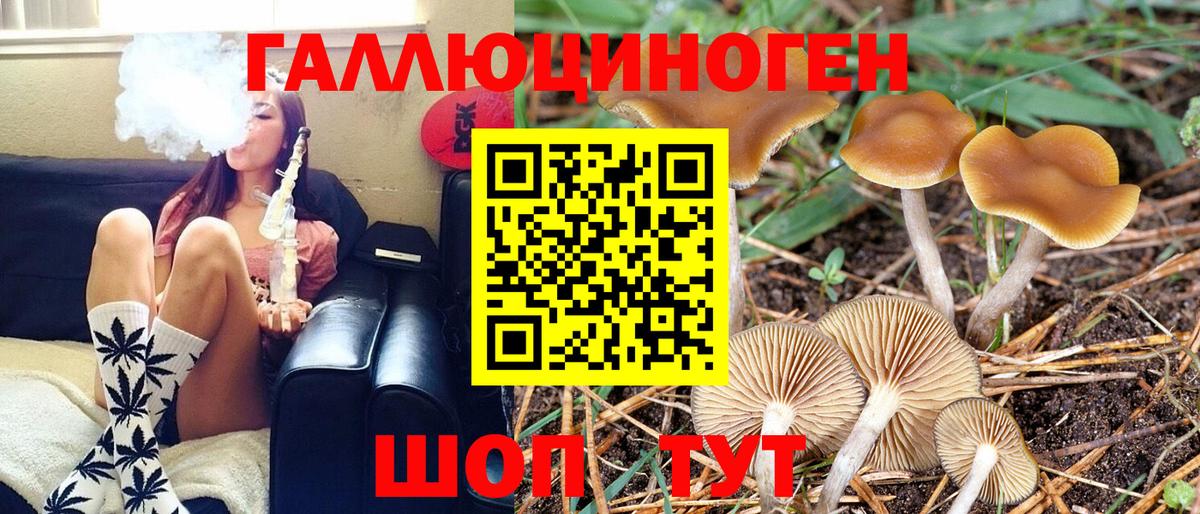 Псилоцибиновые грибы GOLDEN TEACHER  Вход с VPN  Галлюциногенные грибы Psilocybine cubensis  Владимир 