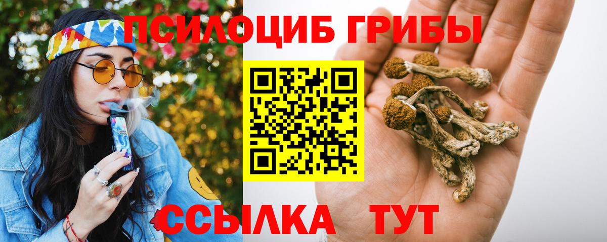 Галлюциногенные грибы GOLDEN TEACHER Владимир